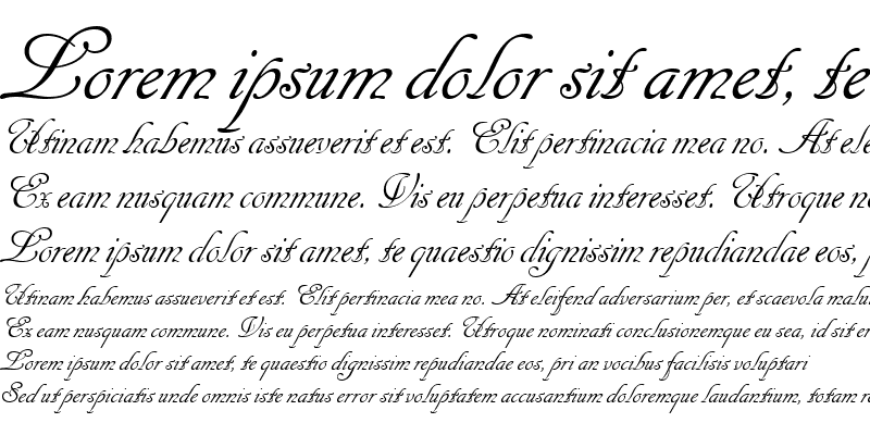 Sample of 1 Cancellaresca Script LET Plain1.0