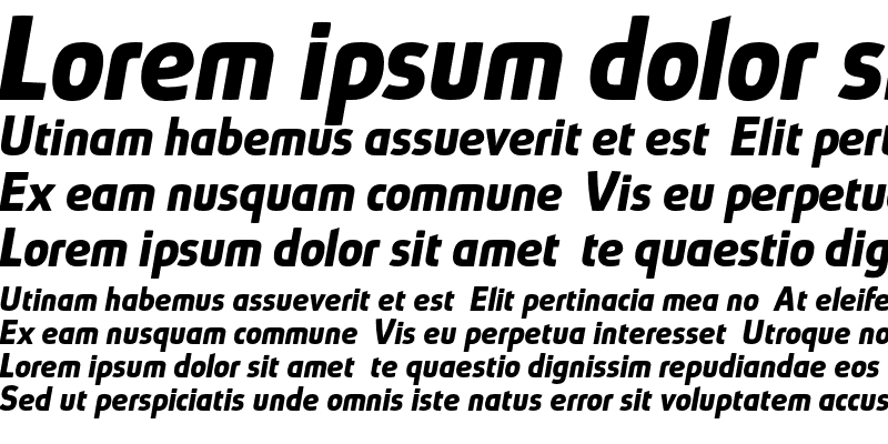 Sample of Absolut Pro reduced Bold Italic