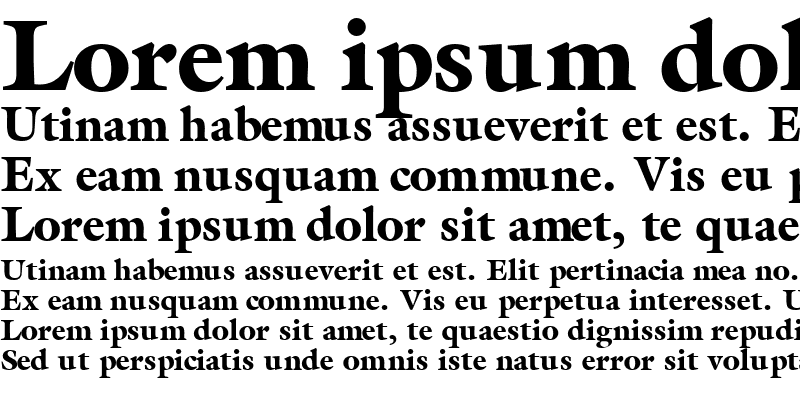 Sample of AcanthusBlackSSK Bold