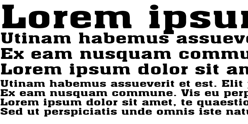 Sample of AcheExtended Bold
