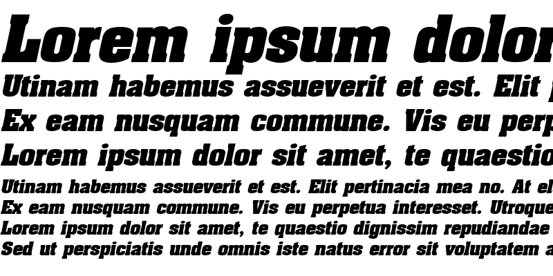Sample of Acklin Italic