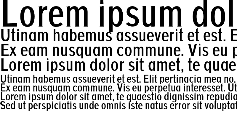 Sample of AGAJDA Bold