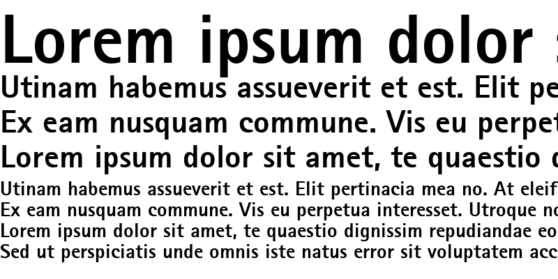 Sample of Agfa Rotis Sans Serif ExBd