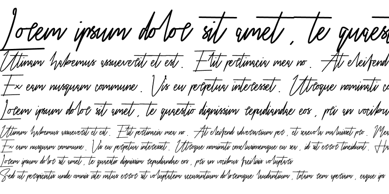 Sample of Airin Regular