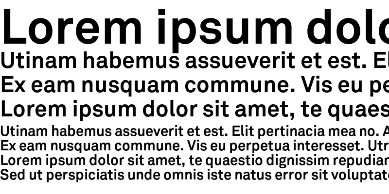 Sample of Akkurat Bold