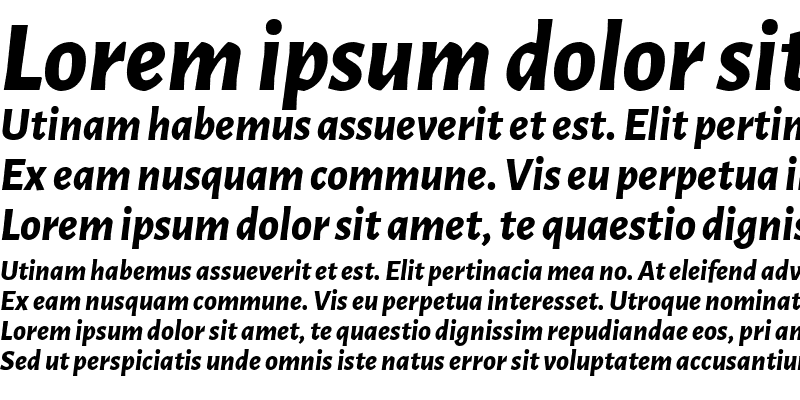 Sample of Alegreya Sans ExtraBold Italic