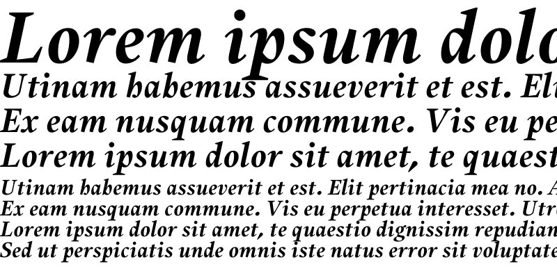 Sample of Alias UnionBold Italic