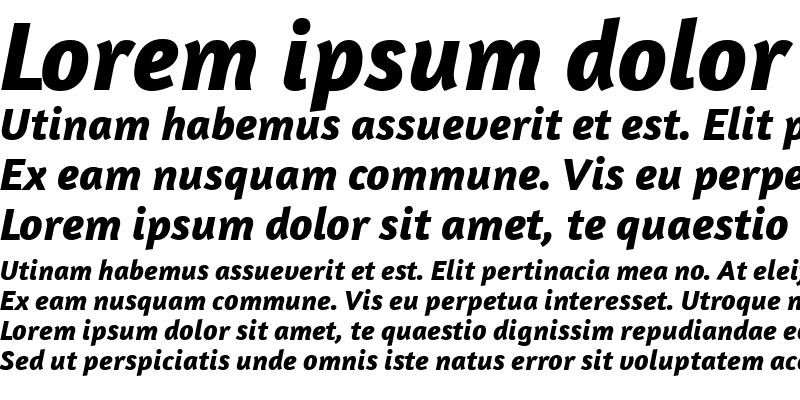 Sample of Amaranth Bold Italic