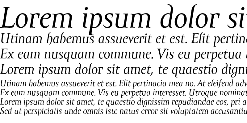 Sample of Amor Serif Pro Italic