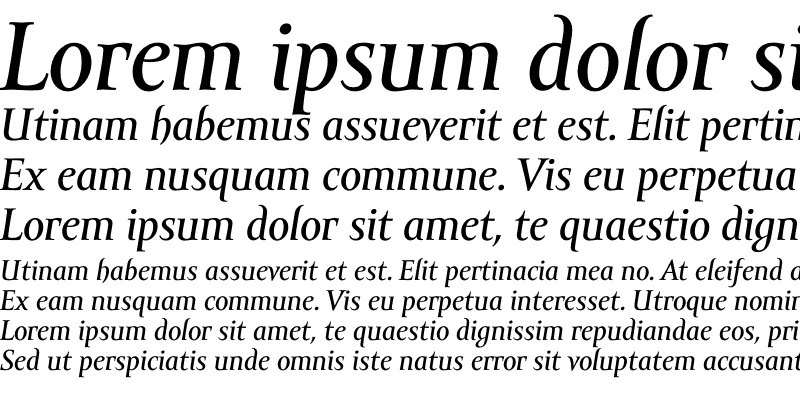 Sample of Amor Serif Text Pro Italic