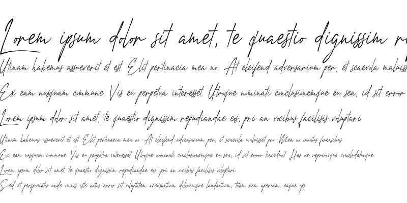 Sample of Amstirdam Demo