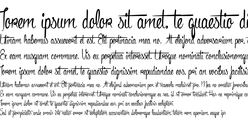 Sample of Anacondas Light Regular