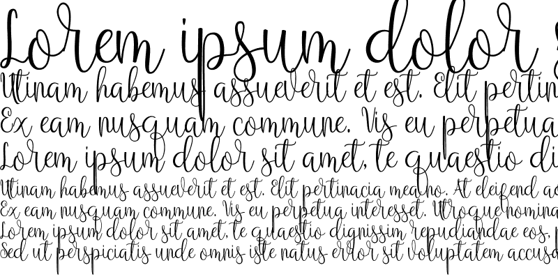 Sample of Anteater Regular