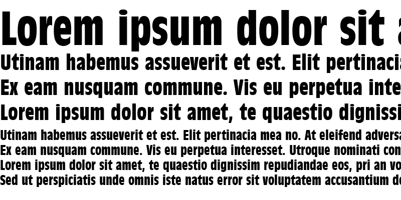 Sample of AntiqueOliTCon Bold