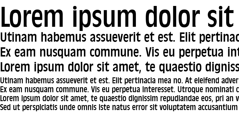 Sample of AntiqueOliTCon