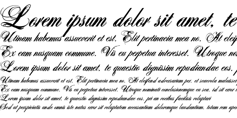 Sample of Antonella script X Bold