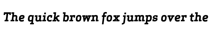 Preview of Apex Serif Bold Italic Regular
