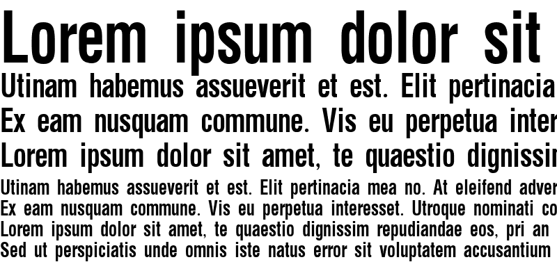 Sample of Apric Bold