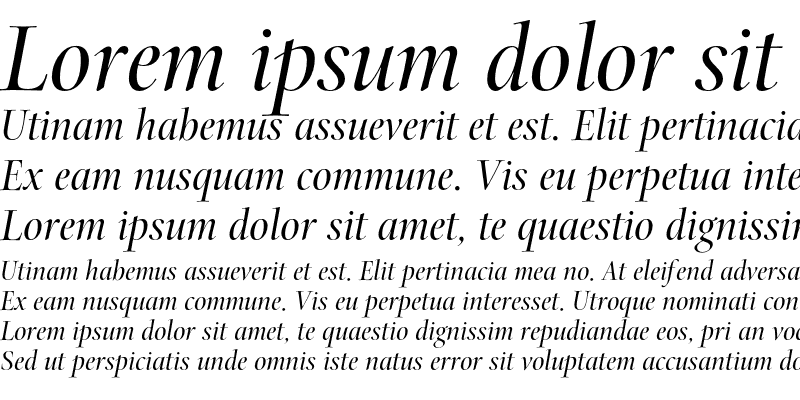 Sample of Arepo Std Italic