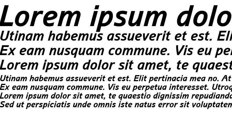 Sample of Arian AMU Bold Italic