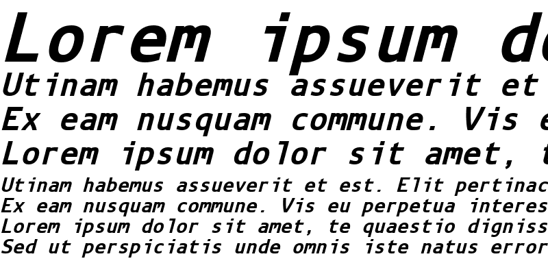 Sample of Arian AMU Mono Bold Italic