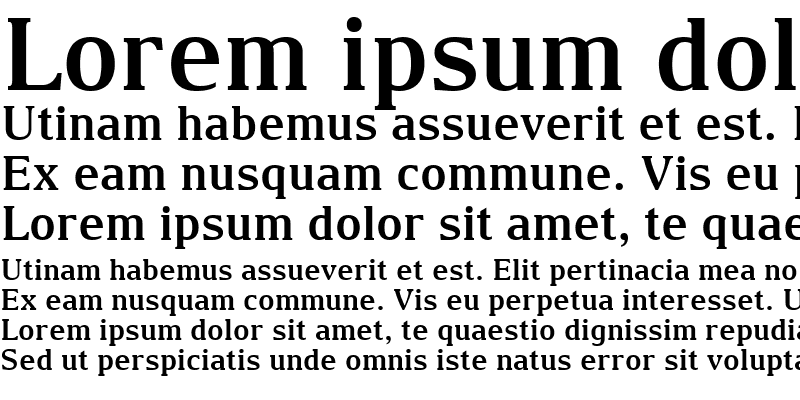 Sample of Arian AMU Serif Bold