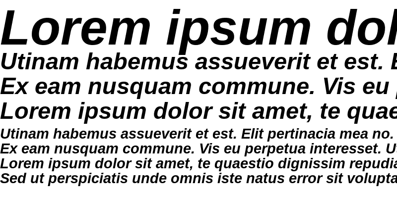 Sample of Arimo Bold Italic