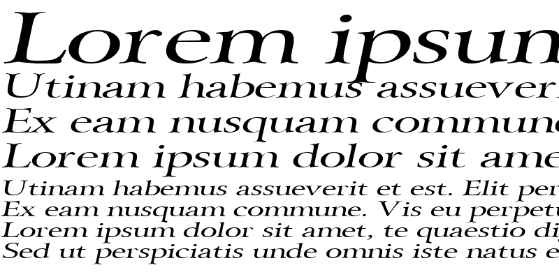 Sample of Array Extended Italic