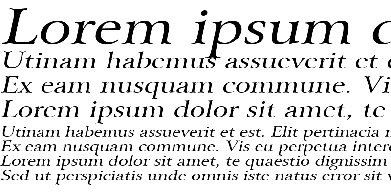 Sample of Array Wide Italic