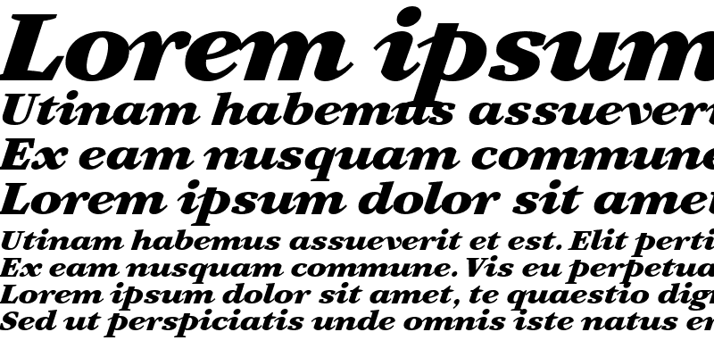 Sample of Artemius SN Black TT Regular Italic