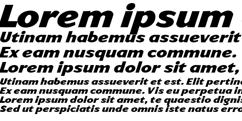 Sample of ArtemiusSans Black Italic