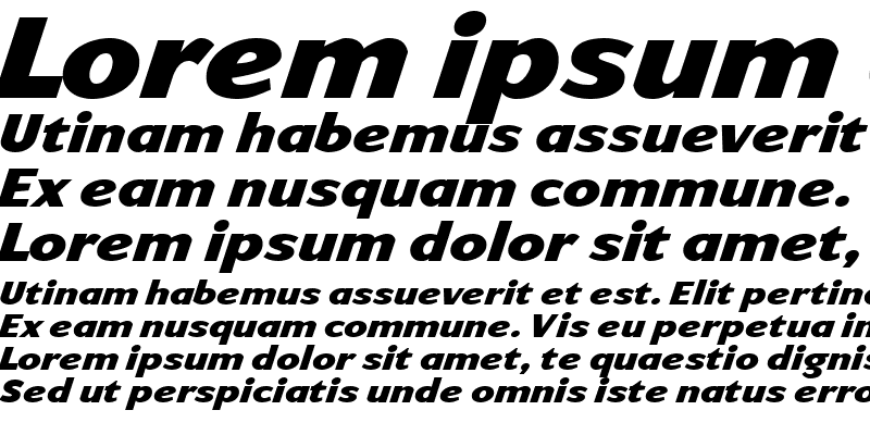 Sample of ArtemiusSans SN Black TT Regular Italic