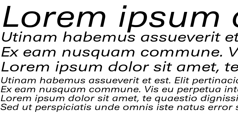 Sample of AudiSansExt Italic