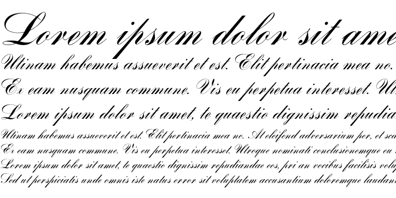 Sample of Bank Script D