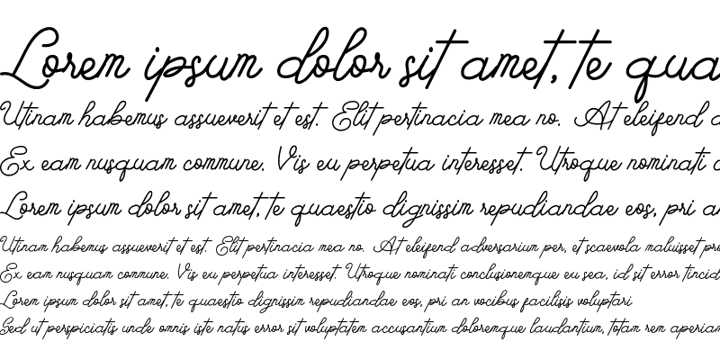 Sample of Barlingtton