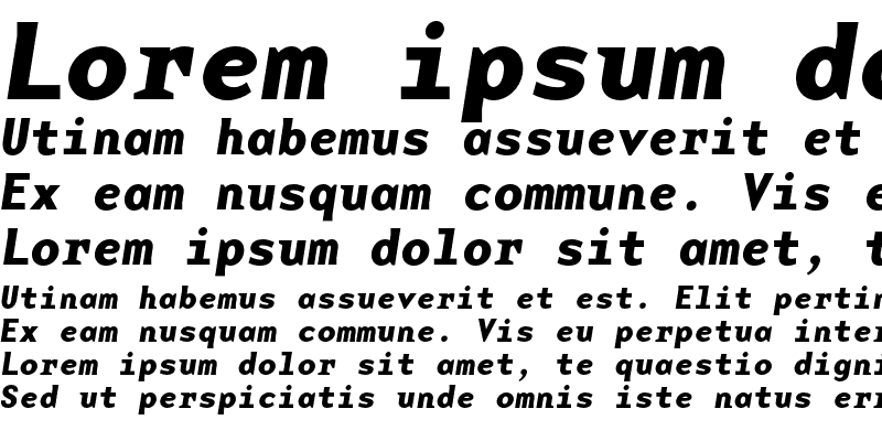 Sample of BaseMono Wide Bold Italic