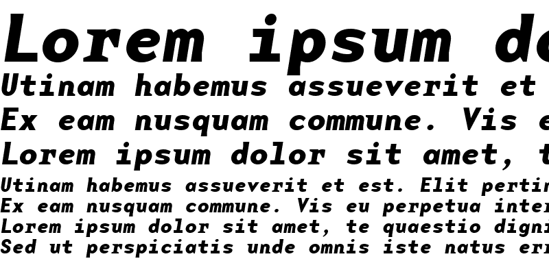 Sample of BaseMonoWideBoldItalic Bold Italic