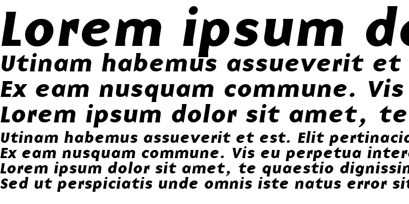 Sample of BaseNine Bold Italic