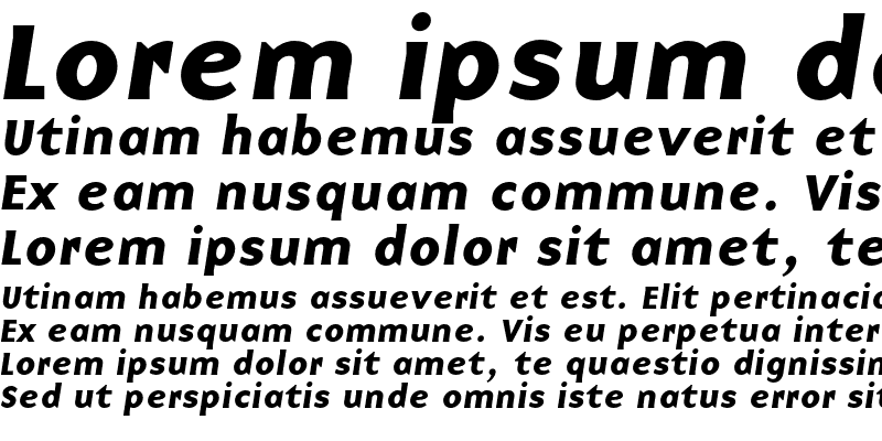 Sample of BaseNineC Bold Italic