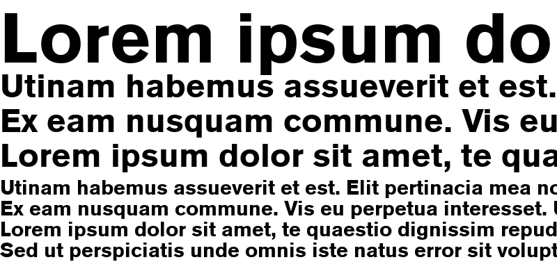 Sample of BasicCommercial LT Roman Bold