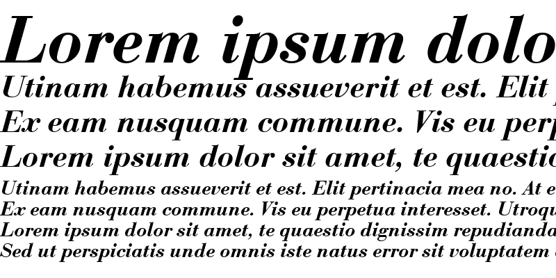 Sample of BauerBodTDemBol Italic