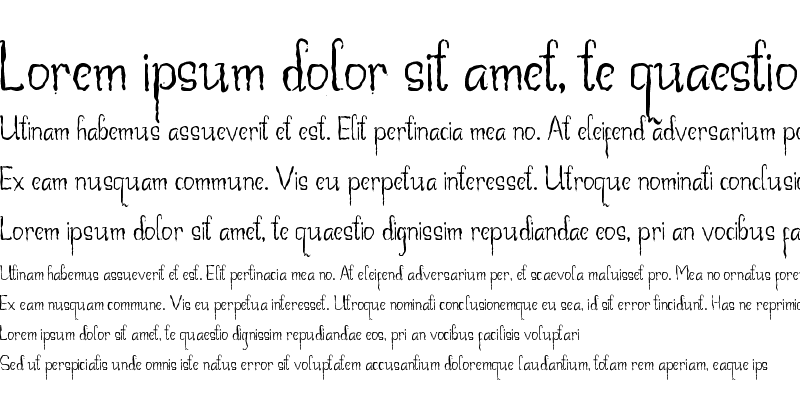 Sample of Beegal Regular