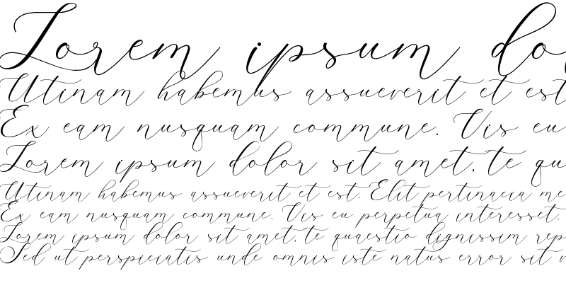 Sample of Belights Regular