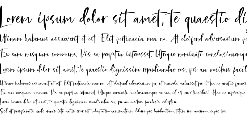 Sample of Bellatrone DEMO