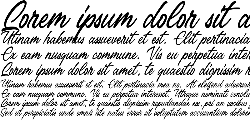 Sample of Belsmont Regular