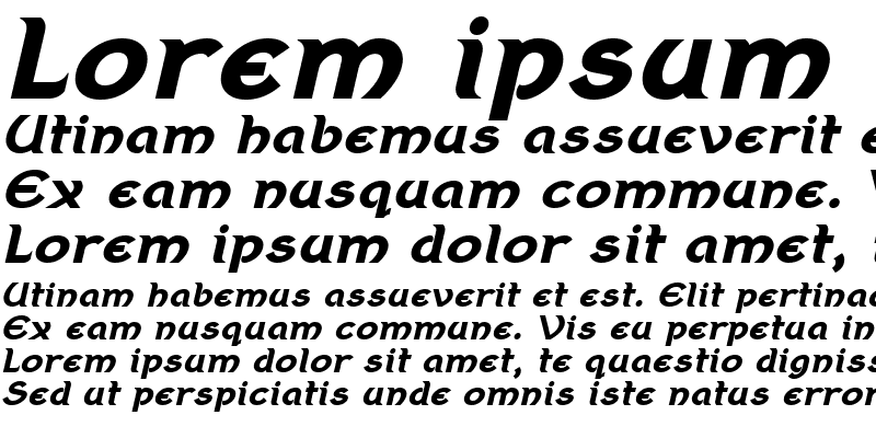 Sample of Berenika Bold Oblique