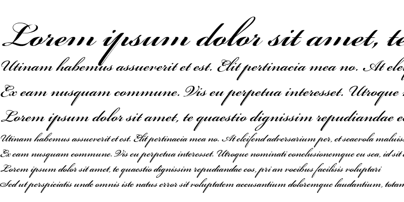 Sample of BickhScrMM_600_wt Italic