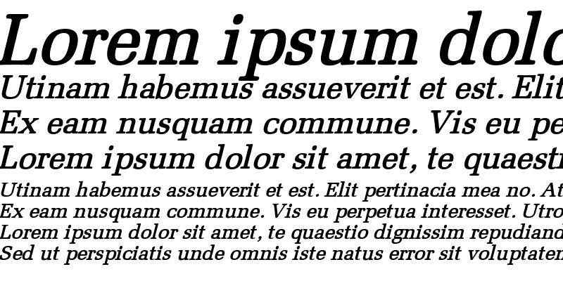 Sample of Bid Roman Bold Italic