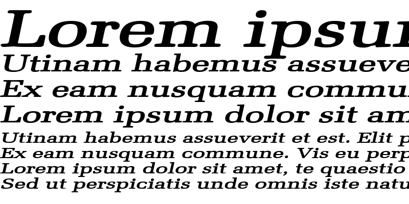 Sample of Bid Roman Extended Bold Italic