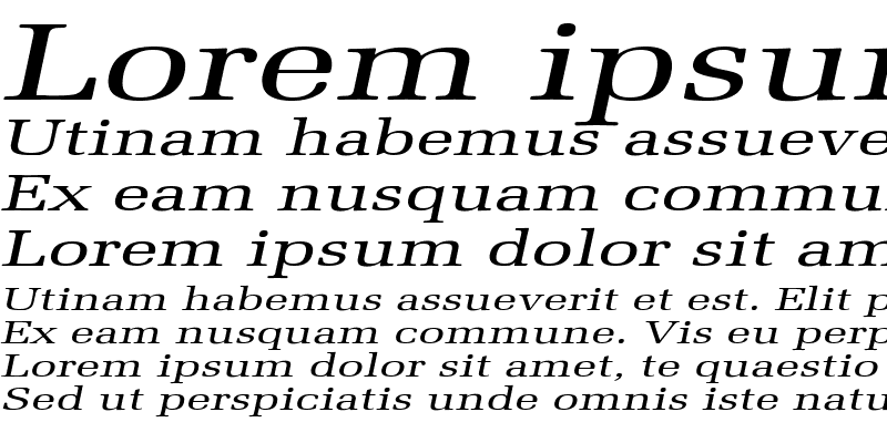Sample of Bid Roman Extended Italic